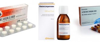 Amoxicillin