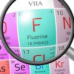 The role of fluoride in the body