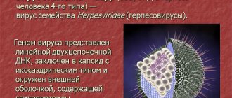 The structure of the Epstein-Barr virus