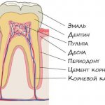 Tooth structure